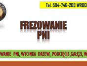 Frezowanie pni, cena, tel. 504-746-203, Wrocław, usunięcie pnia.