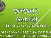 Wywóz gałęzi cena, tel. 504-746-203. Cennik. Porządkowanie działki