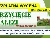 Wycięcie drzewa na działce, Wrocław, tel. 504-746-203. Ścięcie drzewa