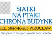Montaż siatki i kolców na ptaki, tel. 504-746-503. Kolce przeciw ptakom