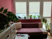 2pok, 37met, Okolice Legnickiej ROZKŁAD/PIWNICA (Wrocław)