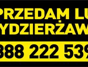Działka budowlana Lubin Obora