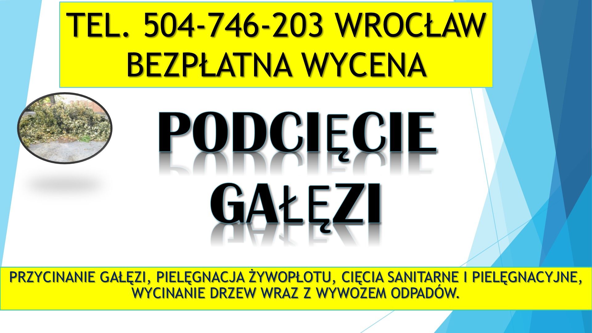 Przycinanie gałęzi, cena tel. 504-746-203, Wrocław,  wycinka, wycinanie drzew Wrocław - Zdjęcie 1