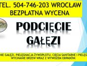 Przycinanie gałęzi, cena tel. 504-746-203, Wrocław,  wycinka, wycinanie drzew