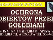 Zabezpieczenie budynku przed gołębiami, tel. 504-746-203. Kolce i siatka