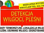Wykrywanie i przyczyny wilgoci, Wrocław, tel. 504-746-203, cena