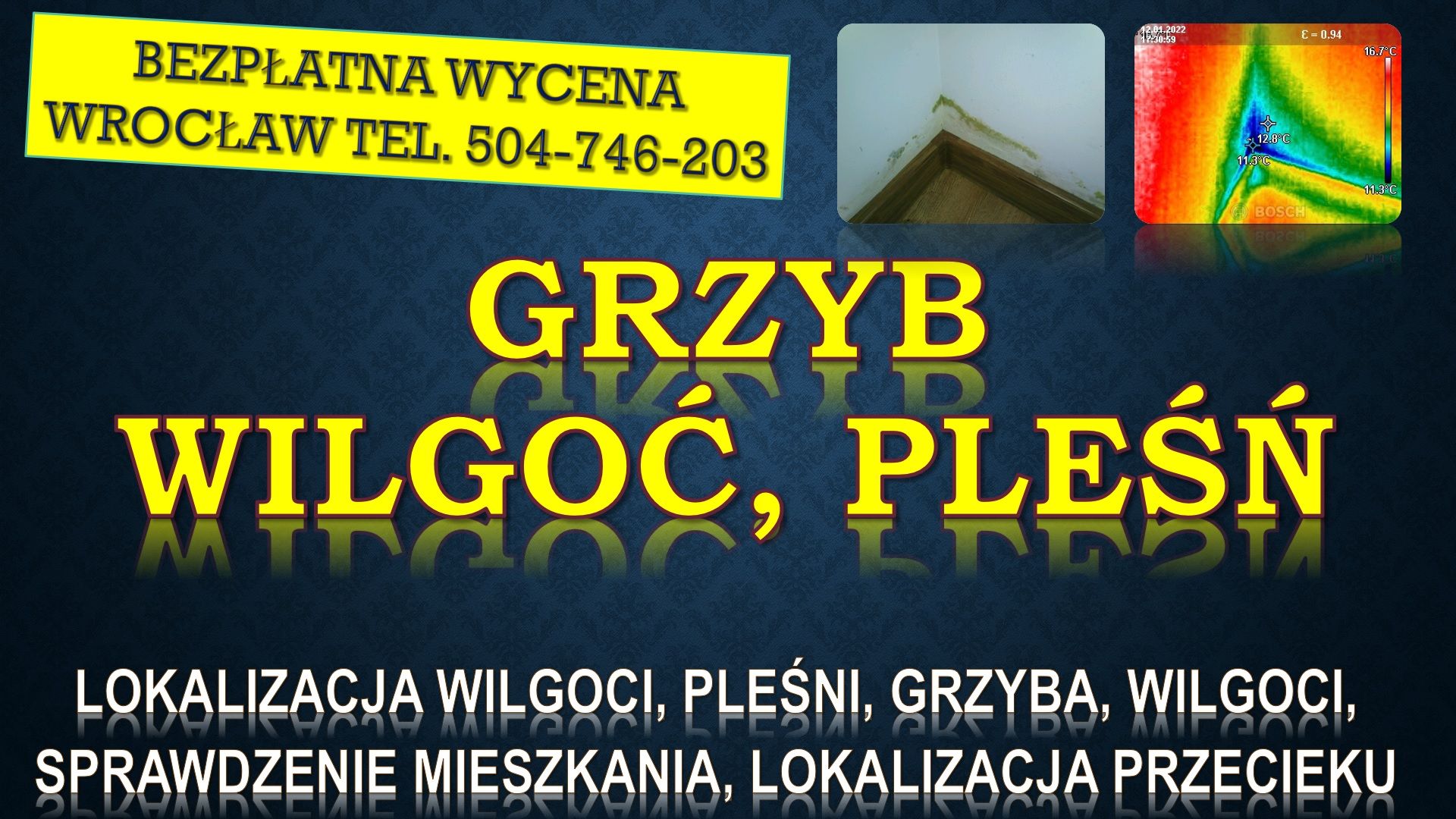 Odgrzybianie mieszkania, cena, tel. 504-746-203. Wrocław. Termowizja wilgoci Wrocław - Zdjęcie 1