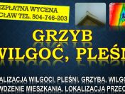 Odgrzybianie mieszkania, cena, tel. 504-746-203. Wrocław. Termowizja wilgoci
