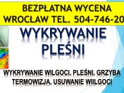 Wykrycie pleśni, tel. 504-746-203. Wrocław, wykrywanie, pleśń, lokalizacja