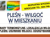 Wykrycie grzyba w mieszkaniu, tel. 504-746-203, Wrocław, lokalizacja pleśni