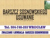 Likwidacja barszczu Sosnowskiego, tel. 504-746-203, Cennik, usunięcie