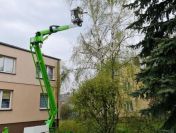 Wycinka drzew Wrocław tel cena