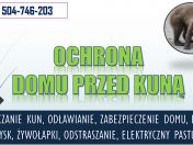 Ochrona domu przed kunami. Tel. 504-746-203. Montaż zabezpieczenia,