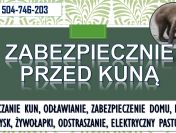 Odstraszanie kun, tel. 504-746-203. Odławianie i zabezpieczenie domu