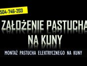 Założenie pastucha elektrycznego na kuny tel.  504-746-203. Zamontowanie na domu