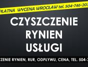 Usługi czyszczenia rynien, Wrocław, tel. 504-746-203, spustowych, zatkana rynna