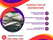 Zadłużenie Skup Spółek - Ochrona Podatkowa oraz 299 i 586 ksh