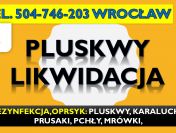 Odpluskwianie mieszkań Wrocław, tel. 504-746-203. dezynfekcja, pluskwy