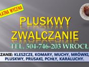Zwalczanie pluskwy, cennik, tel. 504-746-203, oprysk karaluchy