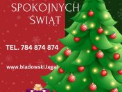 Skup Spółek Również Zadłużonych oraz 299 ksh