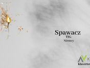 Spawacz TIG - Praca za granicą- Niemcy