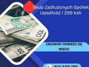 Skup Spółek w Upadłości i Zadłużonych