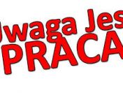 Pakowanie miksów warzywnych- Holandia- dla każdego!