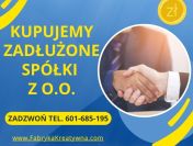 Skup zadłużonych spółek z o.o. ochrona zarządu przed art. 299 ksh