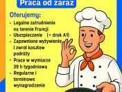 Kucharz praca we Francji
