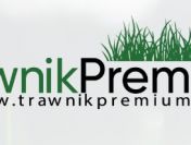 Trawnik z rolki – Profesjonalne zakładanie trawnika - Trawnik Premium