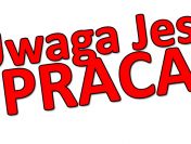 Holandia – praca przy mięsie drób i wieprzowina -  bez doświadczenia