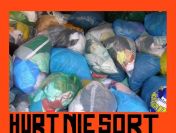 _________ - HURT NIESORT - _________