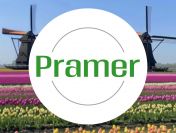 Pracownik magazynu - order picker | jedna zmiana 🆗 - praca w Holandii