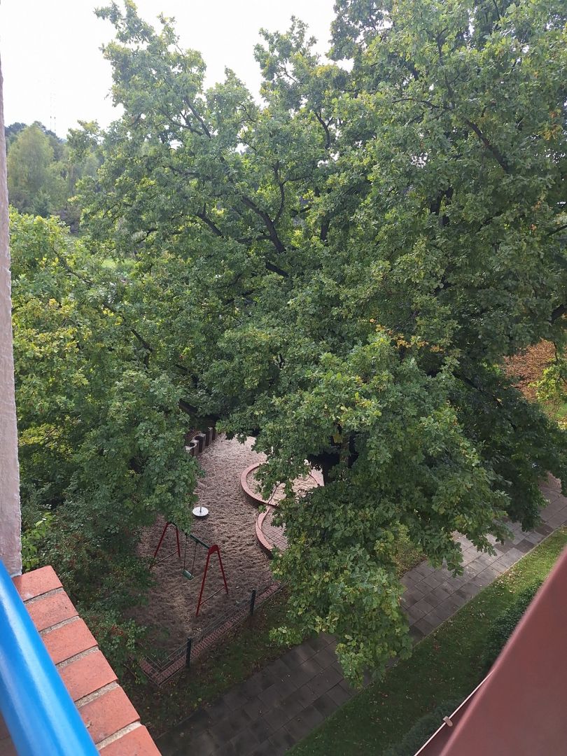 3pok, 70met, Okolice Brucknera BALKON/PIWNICA (Wrocław) Wrocław - Karłowice - Obraz nr 22