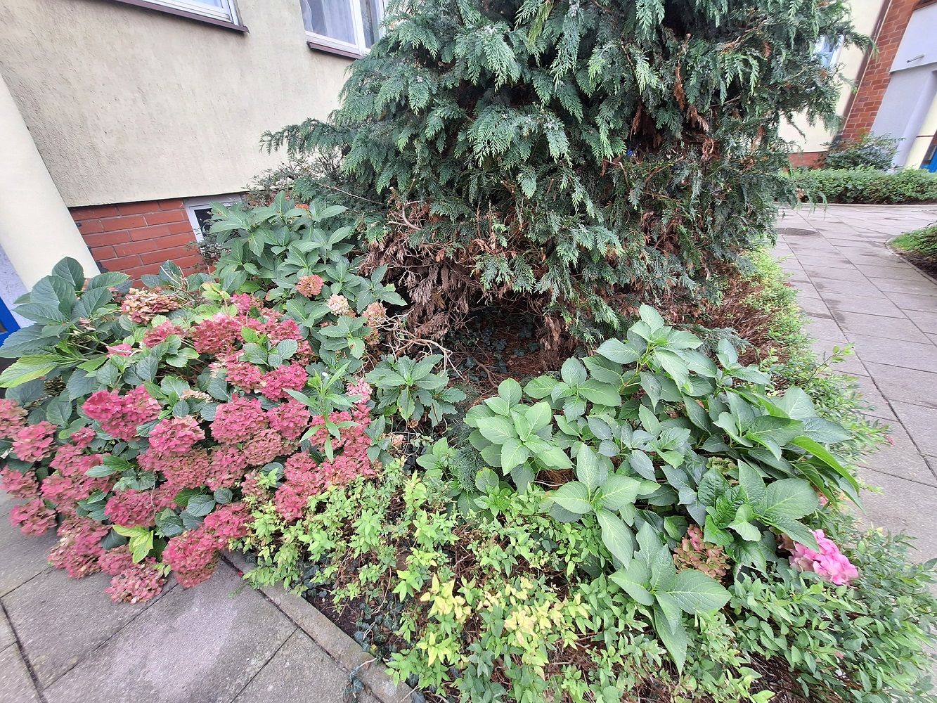 3pok, 70met, Okolice Brucknera BALKON/PIWNICA (Wrocław) Wrocław - Karłowice - Obraz nr 23