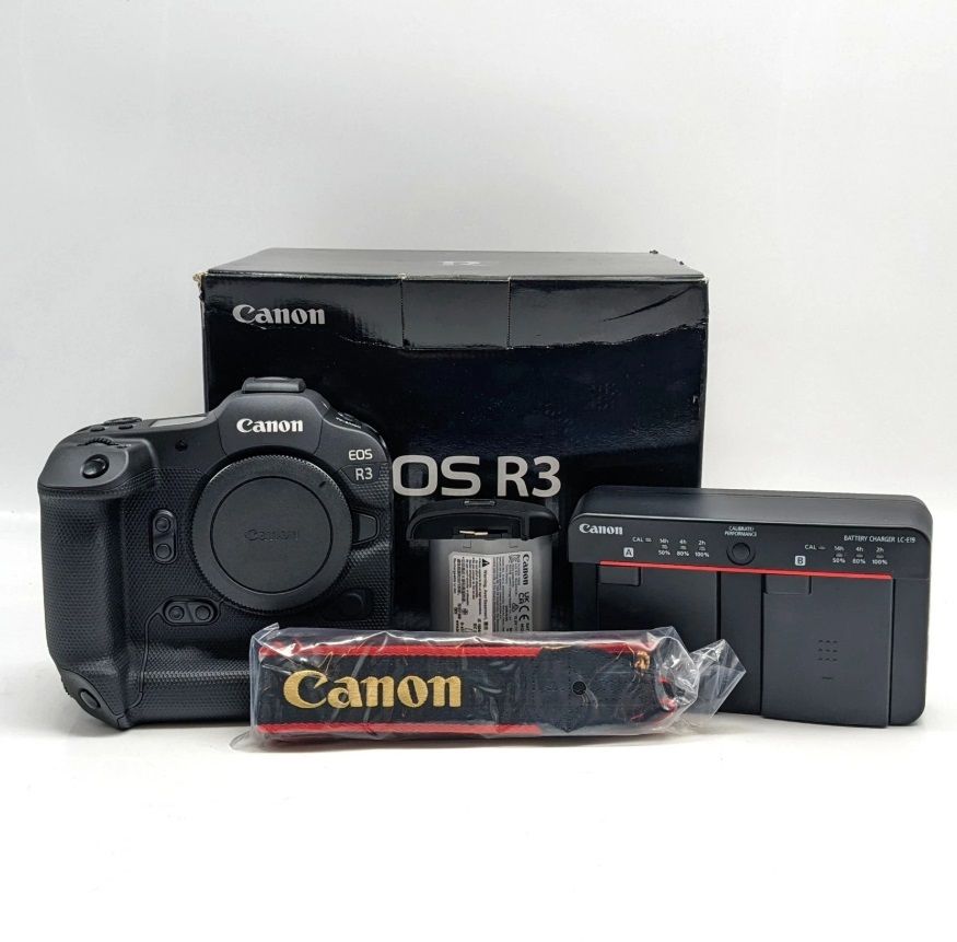 Canon EOS R6 Mark II, Canon EOS R3, Canon EOS R5, Nikon Z9, Nikon Z8 Knutsford - Obraz nr 3