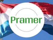 Pracownik upraw szklarniowych - Praca w szklarni 🇳🇱  - praca w Holandii