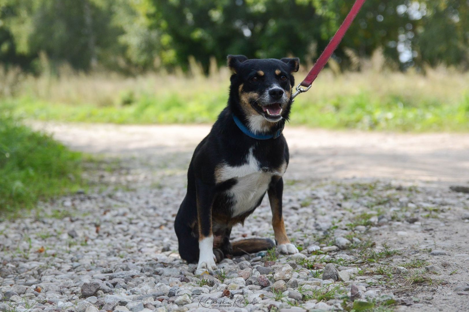 Natka - mała wojowniczka o wielkim sercu!  - Obraz nr 4