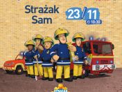 Filmowe Poranki Strażak Sam część 6