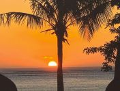 Sponsor dla studentki z Wrocławia!!!