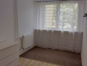 2pok, 35met, okolice Bacciarellego PIWNICA (Wrocław)