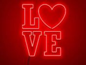 Praca w Holandii przy kwiatach - akcja WALENTYNKI 2026 r.