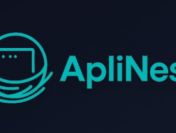 Nowoczesne strony internetowe i aplikacje webowe – ApliNest