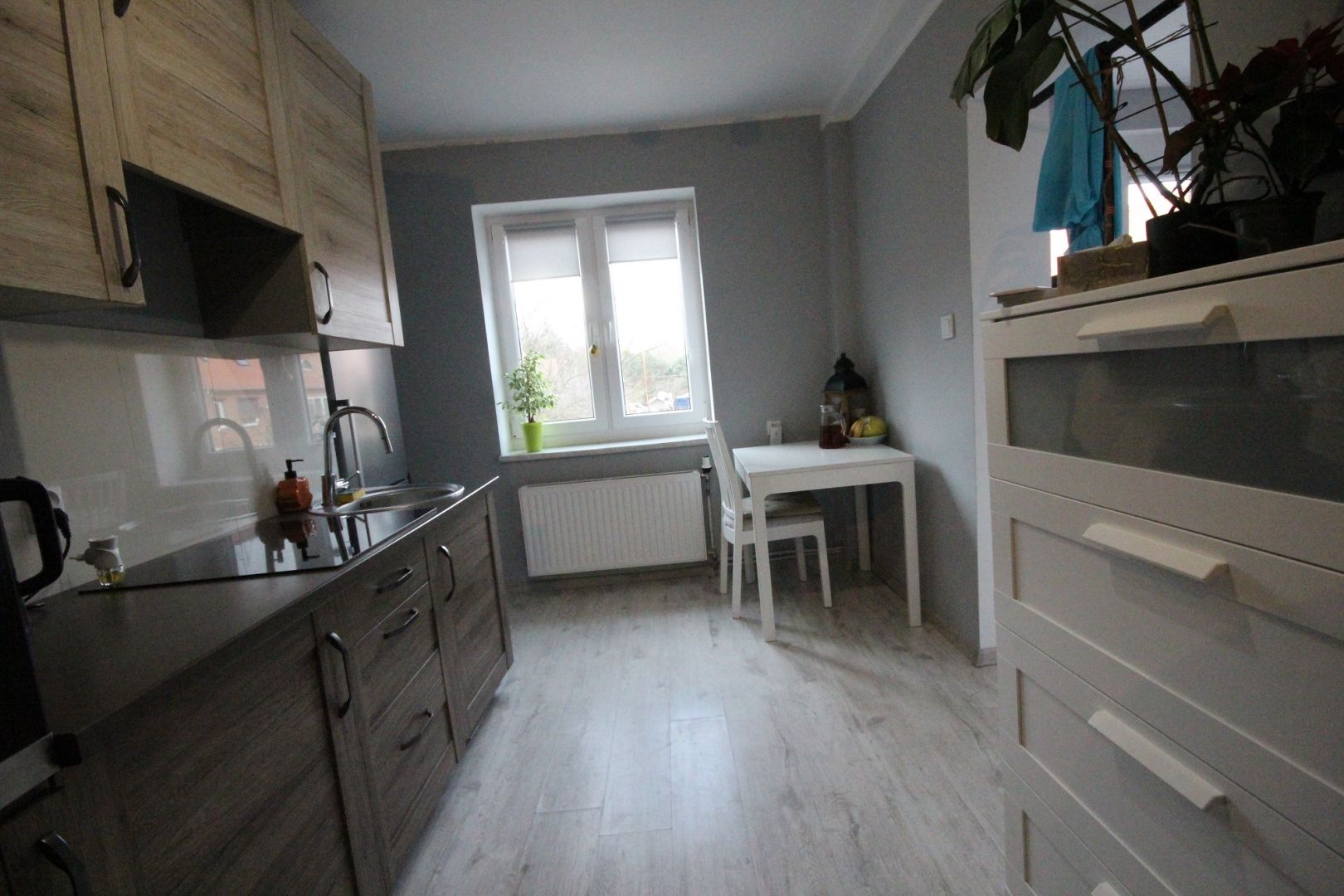 1pok, 24met, okolice Parku Prackiego TARAS/PO REMONCIE (Wrocław) Wrocław - Pracze Odrzańskie - Zdjęcie 1