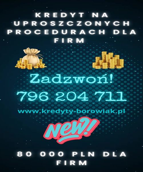 KREDYT DLA FIRM DO 80 000 PLN NAWET PRZY STRACIE! Wrocław - Zdjęcie 1
