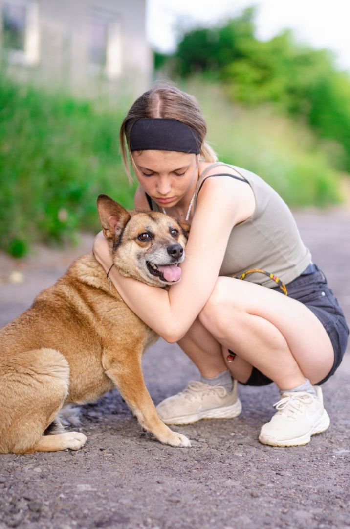 Tores - niekonfliktowy, rodzinny psiak!  - Zdjęcie 1