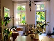 2pok, 50met, Okolice Parku Tołpy PIWNICA (Wrocław)