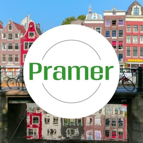 Pracownik przy zbiorze pieczarek - praca w Holandii  - Zdjęcie 1