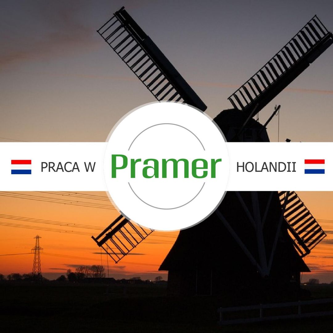 Monter paneli fotowoltaicznych - od zaraz - praca w Holandii  - Zdjęcie 1