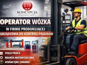 Operator/ka wózka widłowego (Haldenwang-MA-GL-DE)